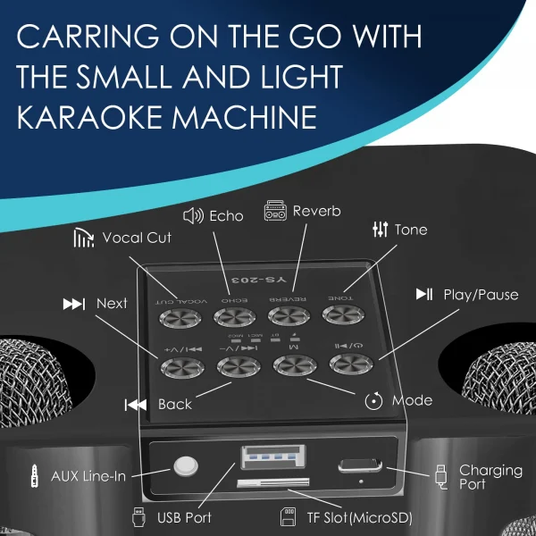 203 Portable Karaoke Bluetooth Speakers with Wireless Microphone Sound Effect Adjustment Large Capacity Battery Home Party Stree - Image 3